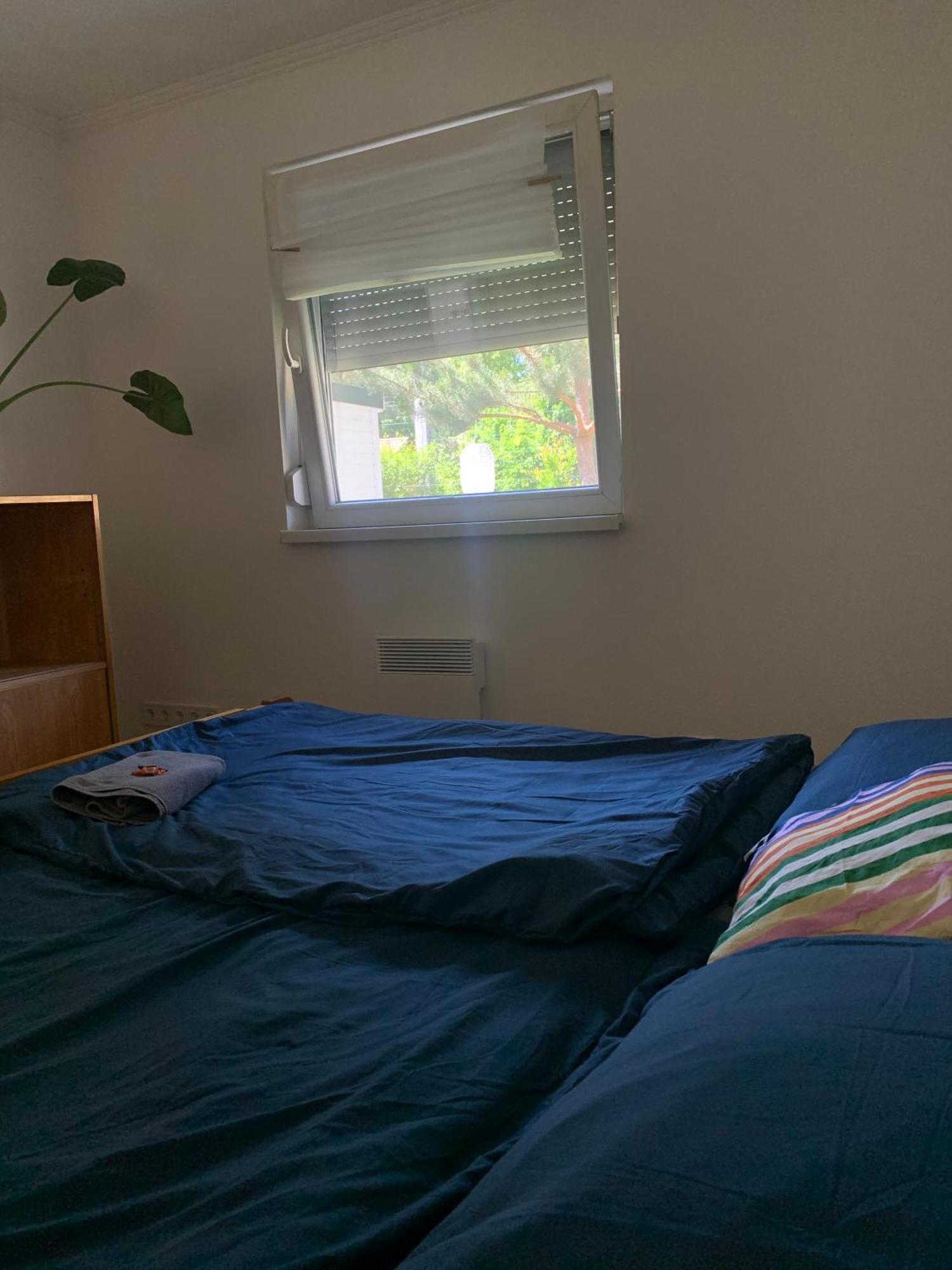 Marika Vendeghaz Villa Szigetmonostor Eksteriør bilde